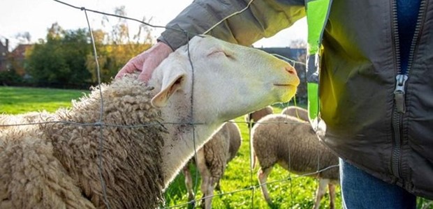 Οι Θεσσαλοί κτηνοτρόφοι κατεβαίνουν αύριο στο Μαξίμου
